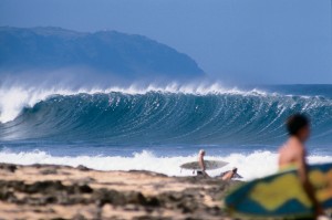 Surf North Shore, Oahu