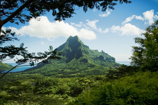 Tahiti Landscape